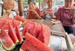 平遥吃瓜最新事件爆料是真的吗,最新爆料真相揭秘