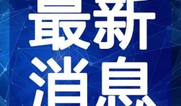 最新宠物秘境返场爆料视频,最新爆料视频深度解析