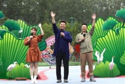 最新油价爆料新闻视频下载,视频揭秘市场动态与未来走势