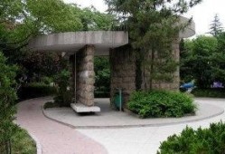 临沂公园爆料最新消息,神秘事件引发热议，真相即将揭晓！